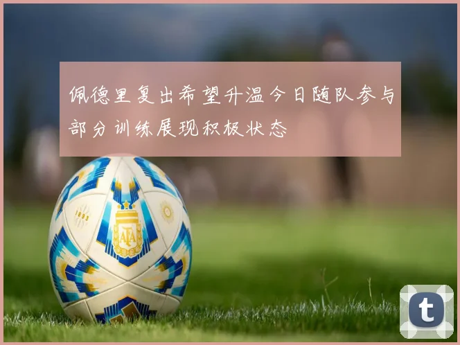 佩德里复出希望升温今日随队参与部分训练展现积极状态